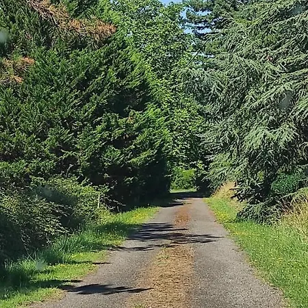 Logis Du Poirier Nocleg ze śniadaniem