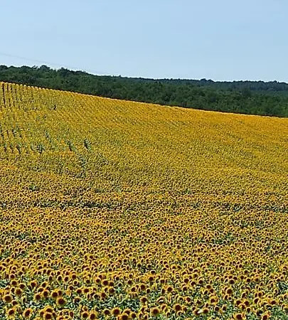 Logis Du Poirier Juignac