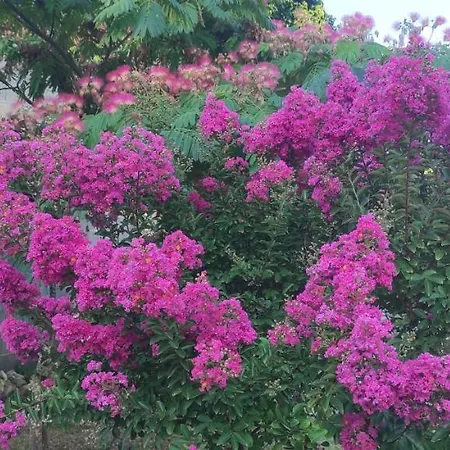 Logis Du Poirier Juignac