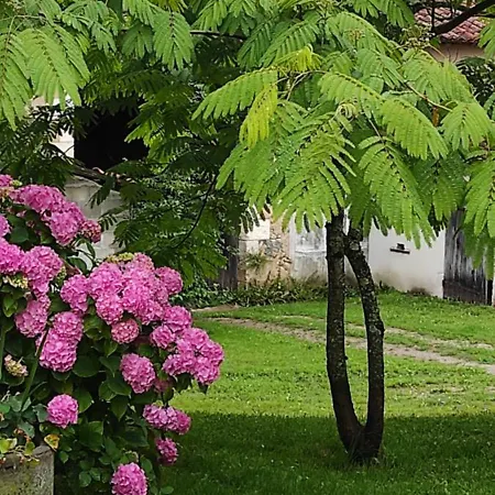 Bed & Breakfast Logis Du Poirier