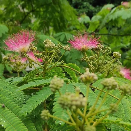 Nocleg ze śniadaniem Logis Du Poirier Juignac