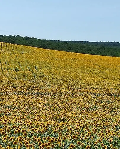 Logis Du Poirier Juignac