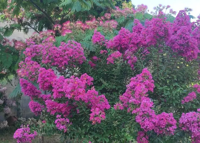 Logis Du Poirier Juignac